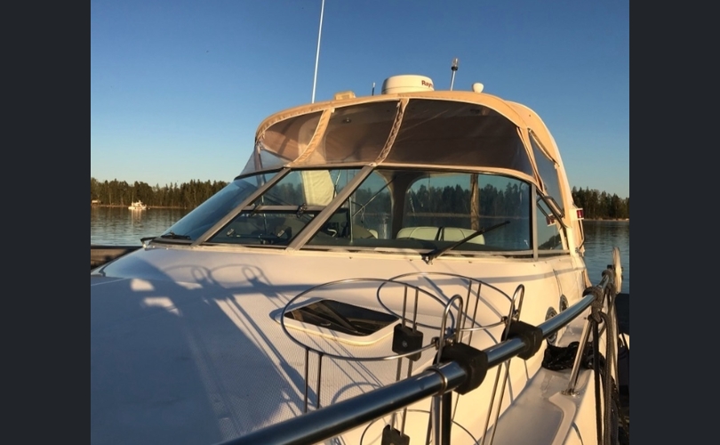 Sea Ray 310-kuva-9